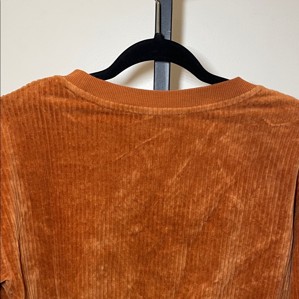 Forever 21 Burnt Orange Velvet Sweatshirt - Picture 6 of 6